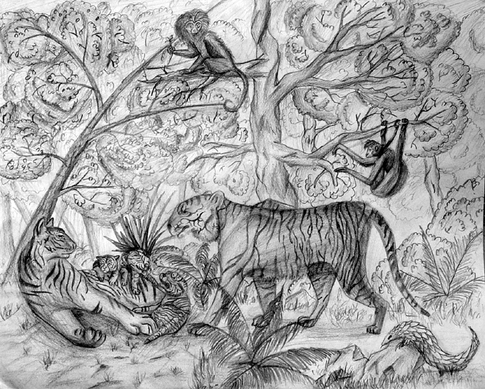 Animals_1