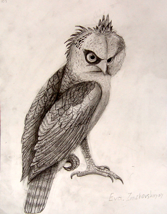 Bird
