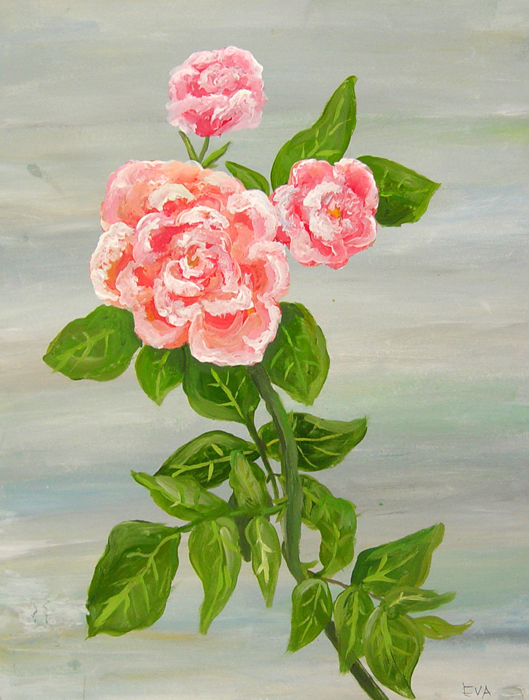 Roses
