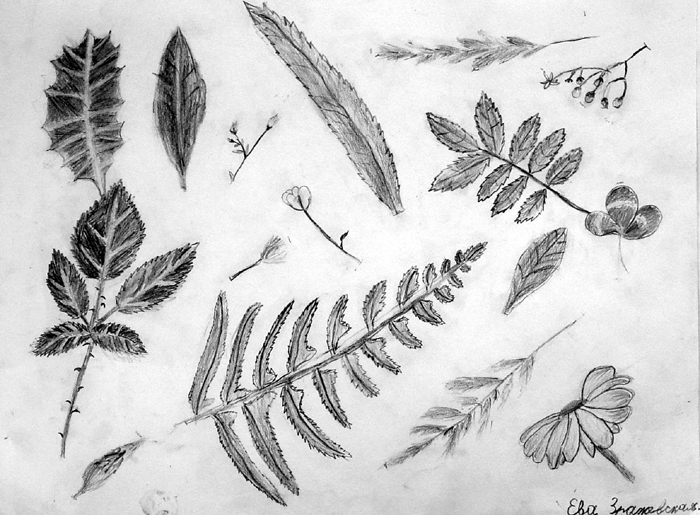 Sketches-1