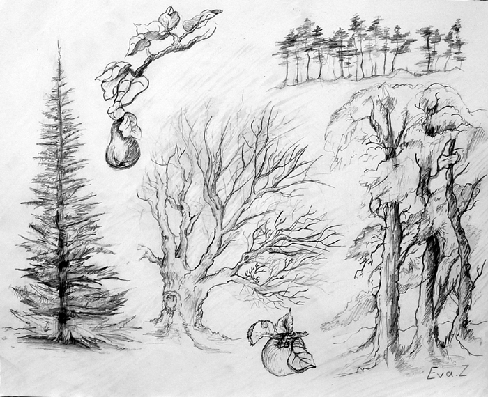 Sketches_3