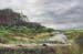 Landscape_4