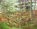 Plein-air 2022