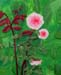 Plein-air_2019