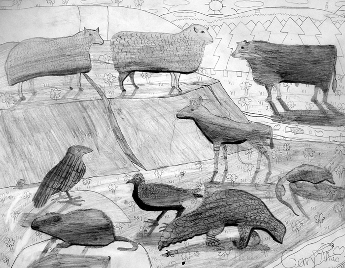 Animals_1
