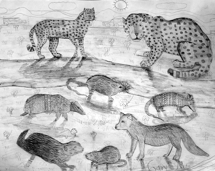 Animals_2