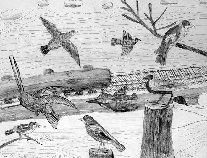 Birds