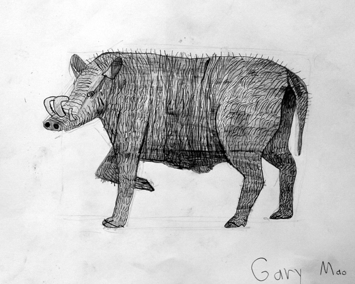 Boar