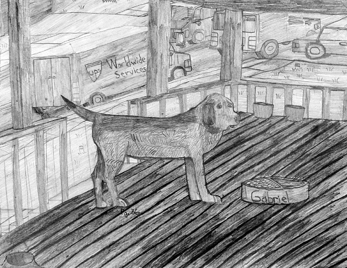 Dog