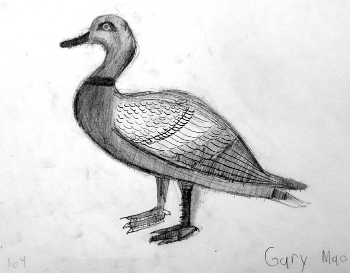 Duck