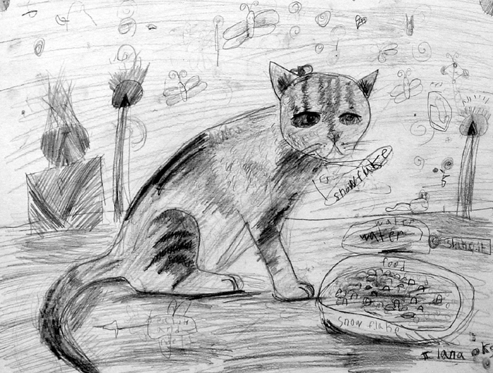 Cat