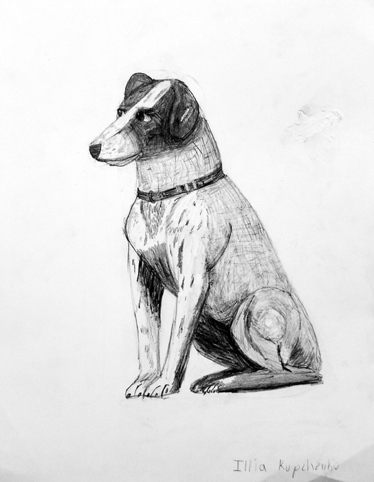 Dog