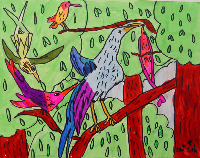 Birds