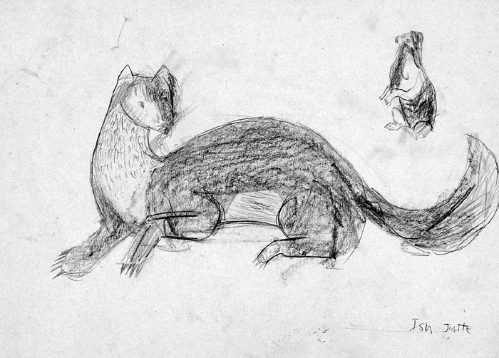 Mink