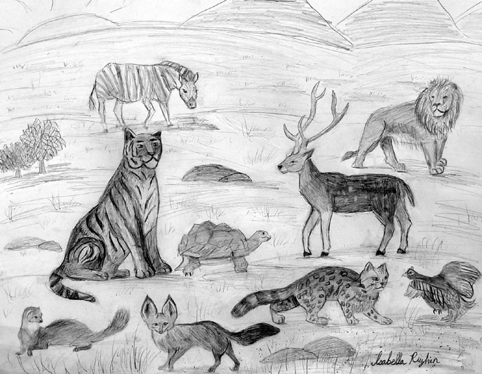 Animals_1