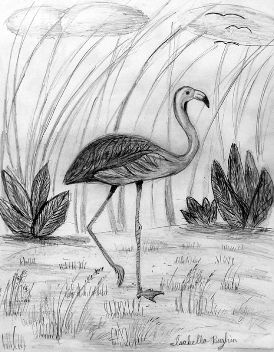 Bird_2
