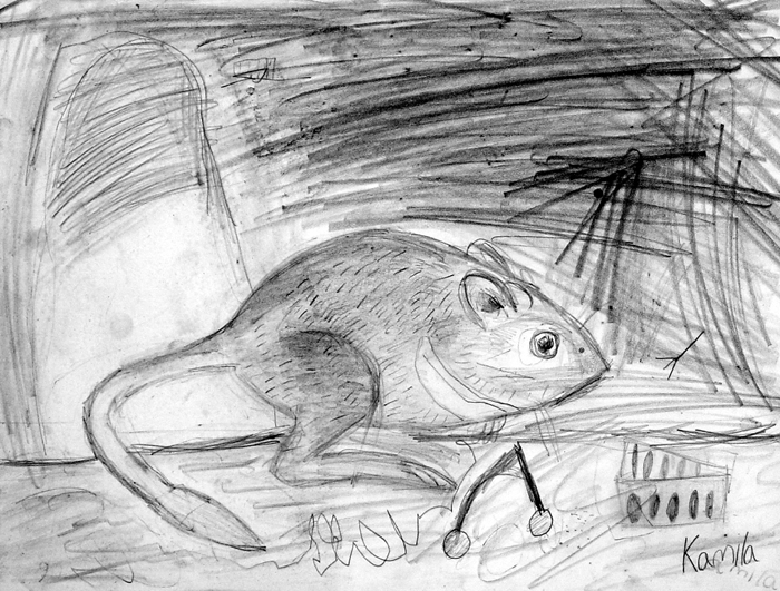 Mouse