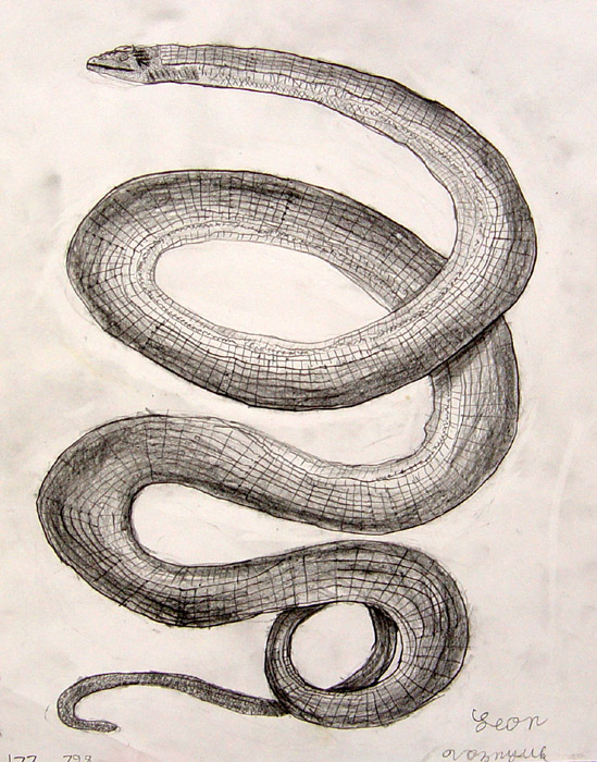 Snake