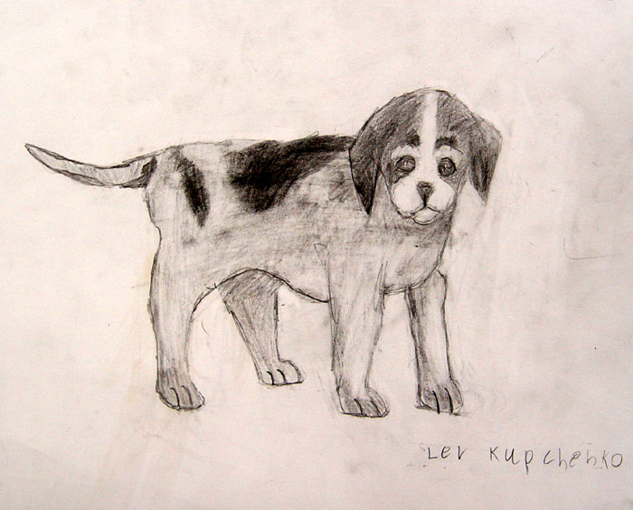 Dog