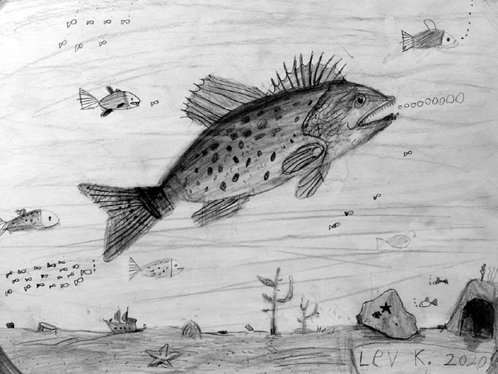 Fish