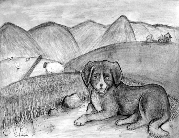Dog_3