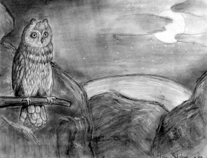 Owl