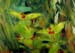 Plain-air_2023. Fragment_1