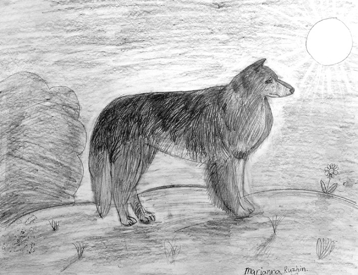 Dog