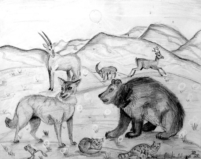 Animals_2