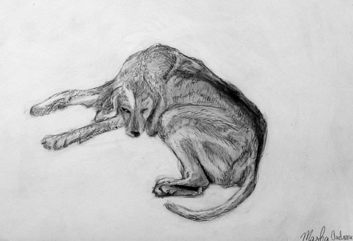 Dog_2
