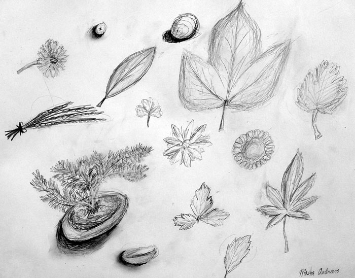 Sketches
