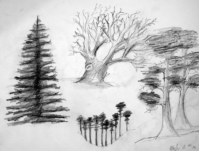 Sketches_4
