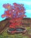 Plein-air_2020