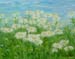 Plein-air_2023