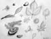 Sketches