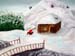 Winter_2021
