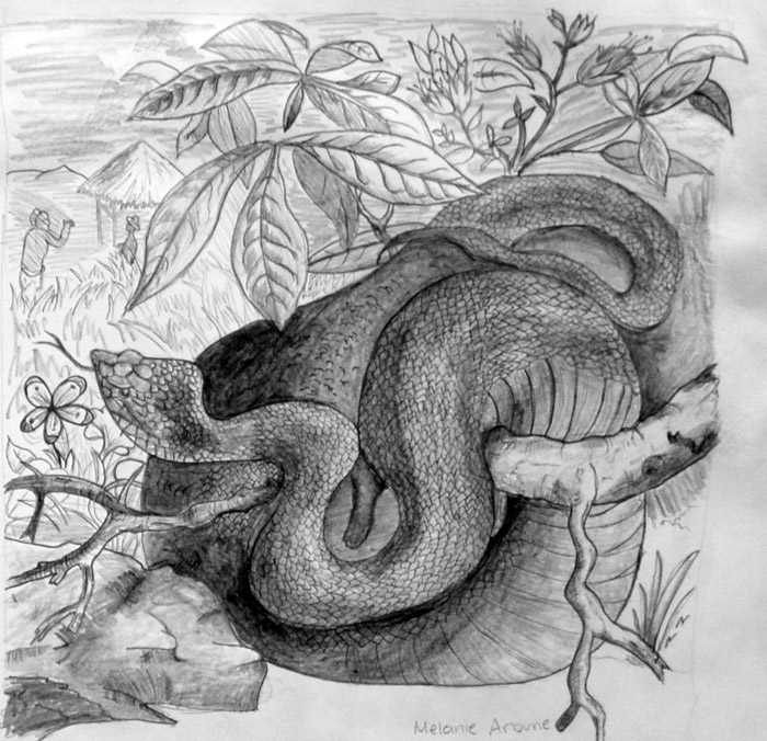 Snake_2