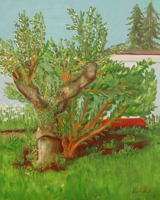 Plein-air_2023