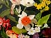 Still-life_1_(study)