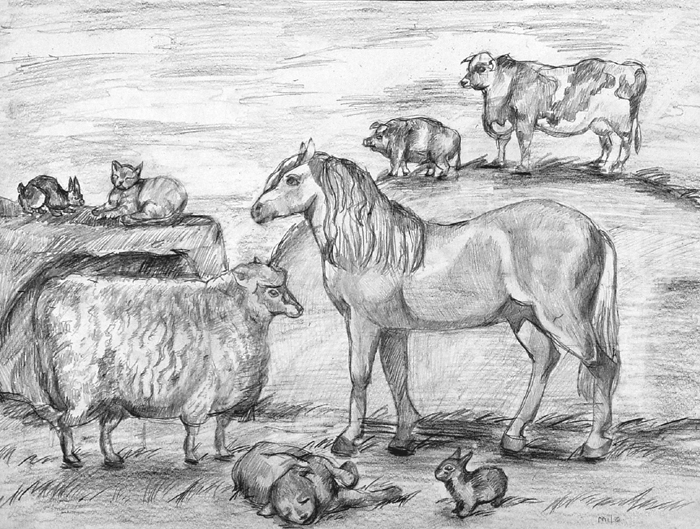 Animals_1