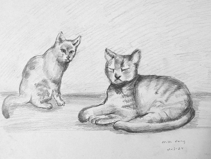 Cats