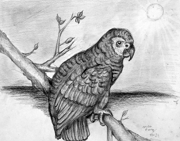 Eagle