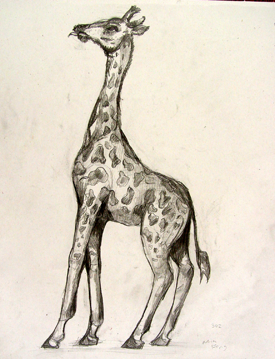 Giraffe