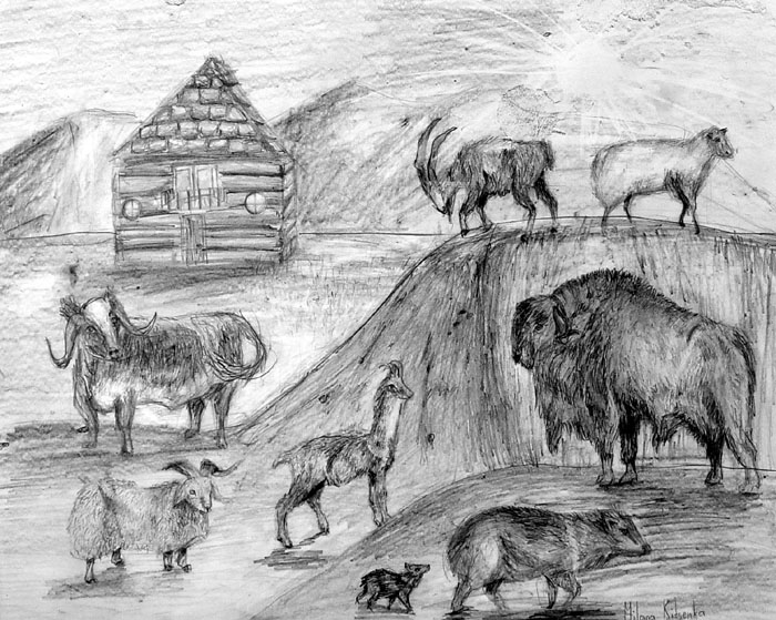 Animals_1