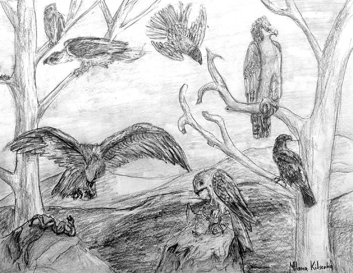 Birds