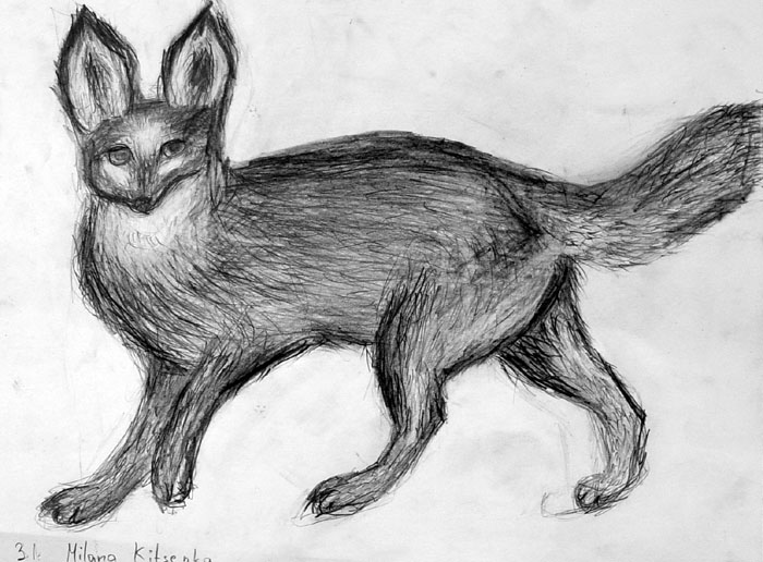 Fox_2