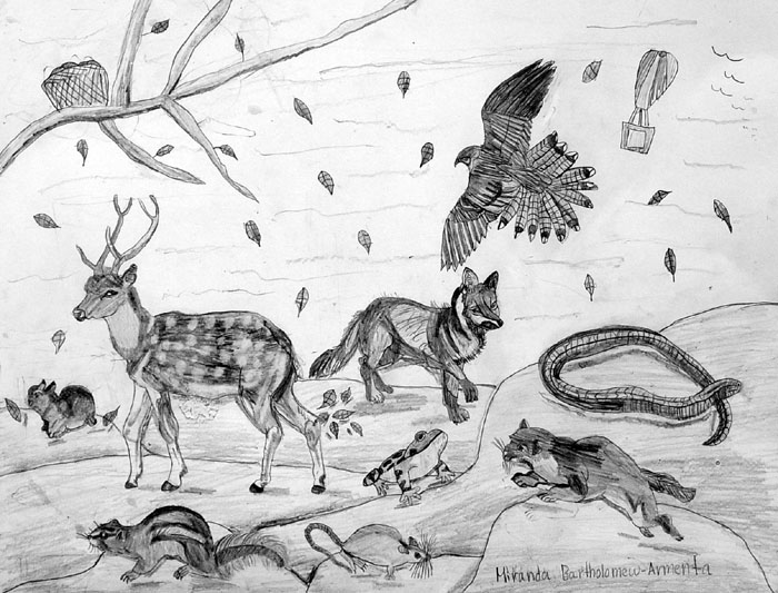 Animals_1