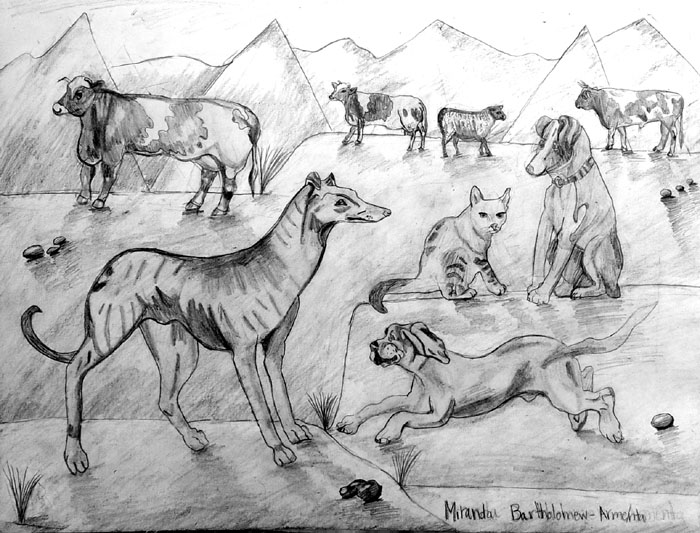 Animals_2