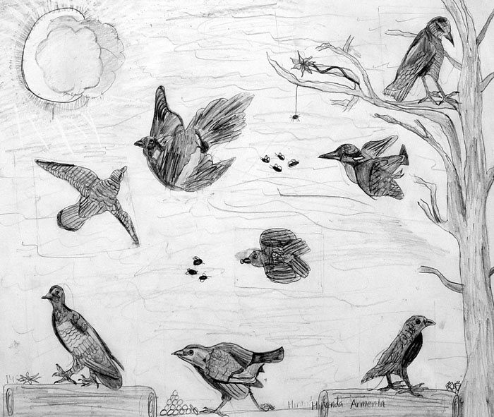 Birds