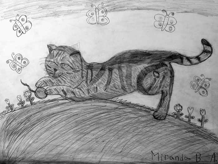 Cat